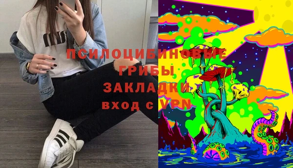 ешки Куйбышев